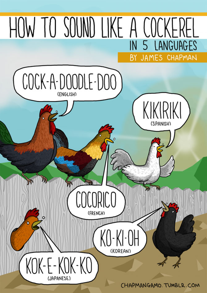 Cum suna animalele in diferite limbi? - Poza 9