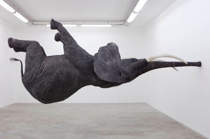 Elefantul plutitor de Daniel Firman - Poza 1