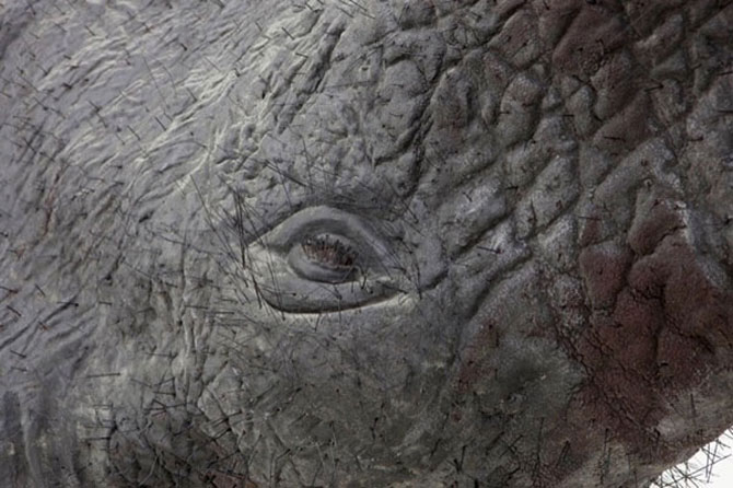 Elefantul plutitor de Daniel Firman - Poza 7