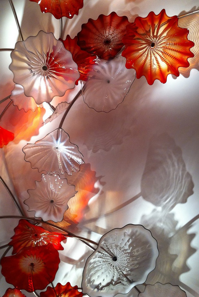 Magia luminii, reflectata in florile lui Dale Chihuly - Poza 3