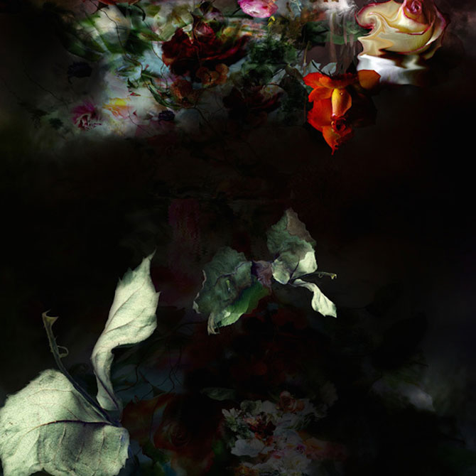 Portrete expresive de flori, de Isabelle Menin