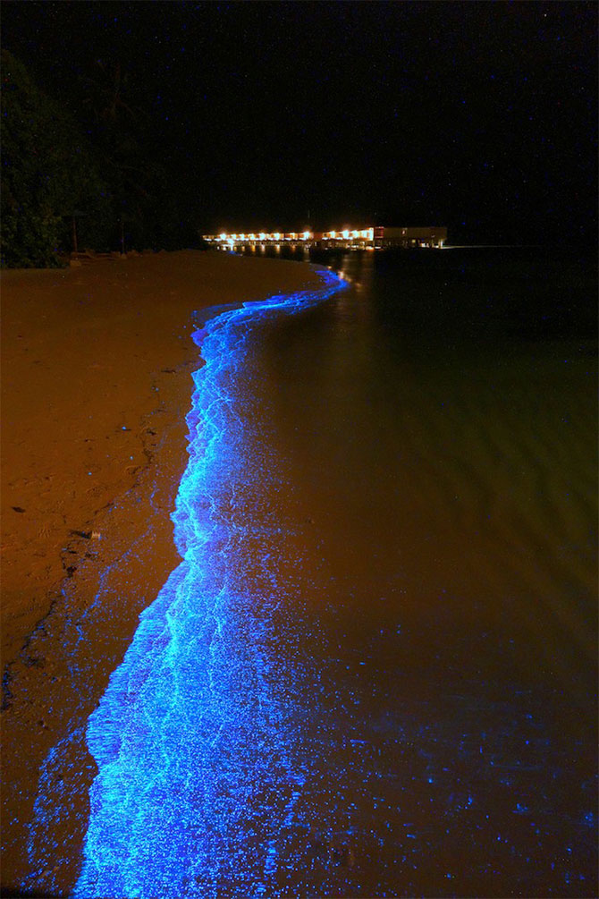 Plajele presarate cu licurici din Maldive - Poza 2