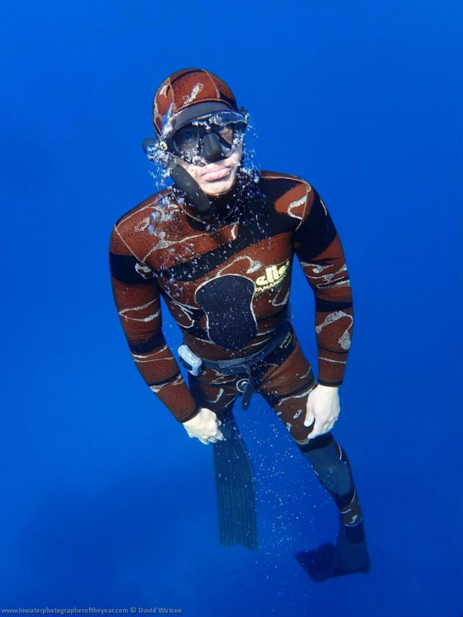 Cele mai bune fotografii subacvatice
