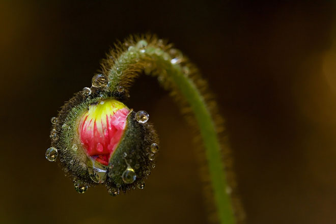 29 de fotografii superbe: Peisaje din Ungaria