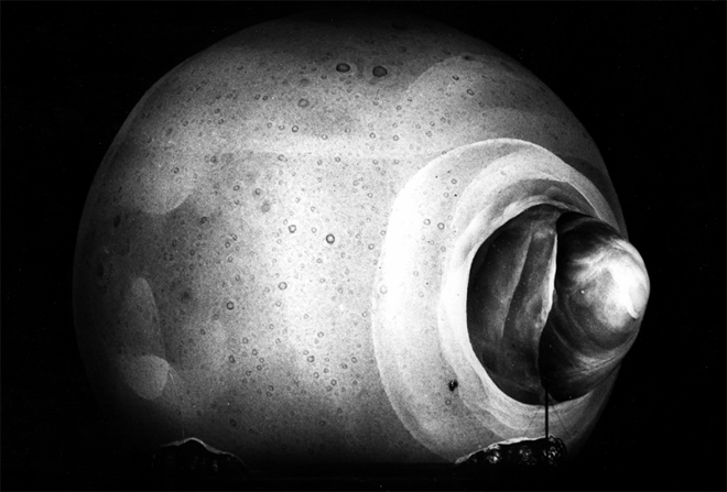 Must read: Cum au fost fotografiate bombele atomice
