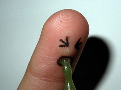 Funny: Degetele pot fi chiar simpatice! - Poza 21