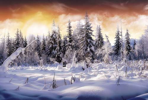 Iarna: 30 de ilustratii si poze