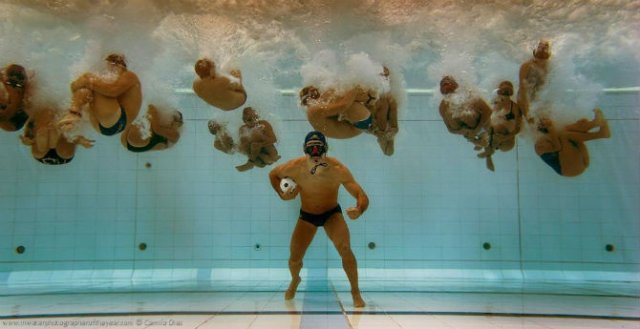 Cele mai bune fotografii subacvatice