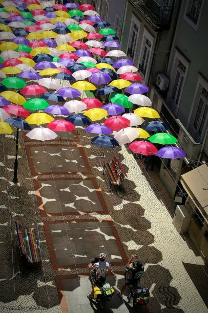 Un festival al umbrelelor in poze multicolore - Poza 1