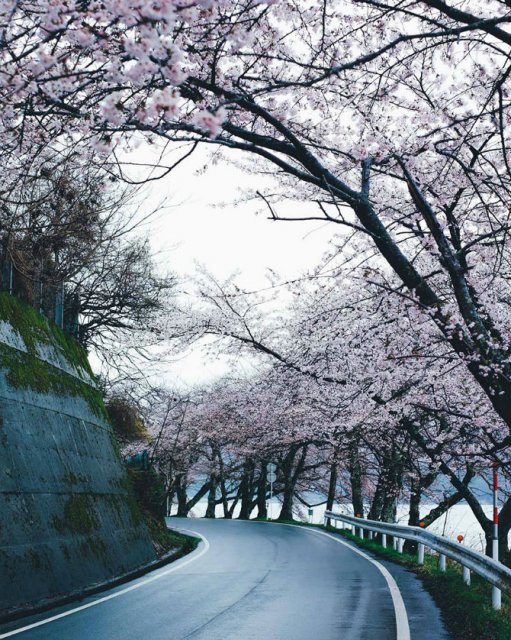Frumusete cotidiana si mister, pe strazile din Japonia