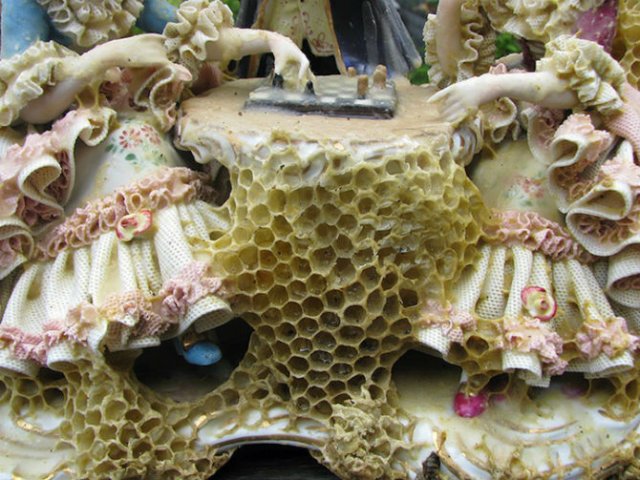 Sculpturi din portelan remodelate de albine - Poza 9