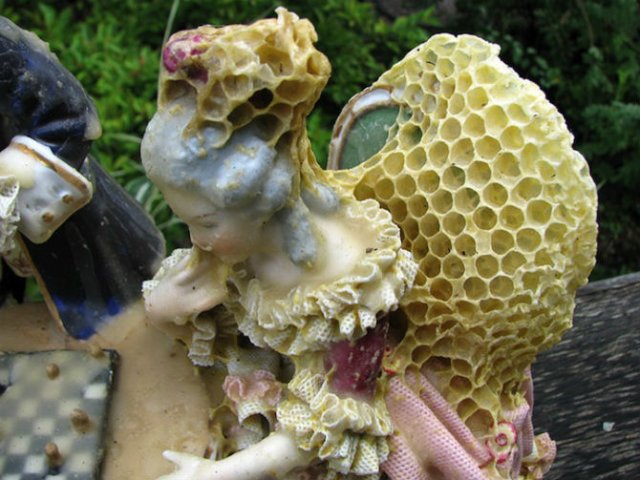 Sculpturi din portelan remodelate de albine - Poza 8