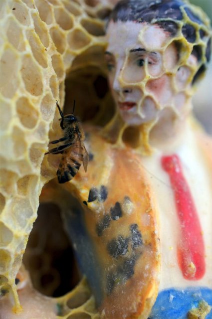 Sculpturi din portelan remodelate de albine - Poza 1