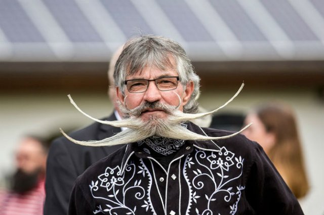 Campionatul masculinitatii: Barbosii si mustaciosii anului 2015 - Poza 12