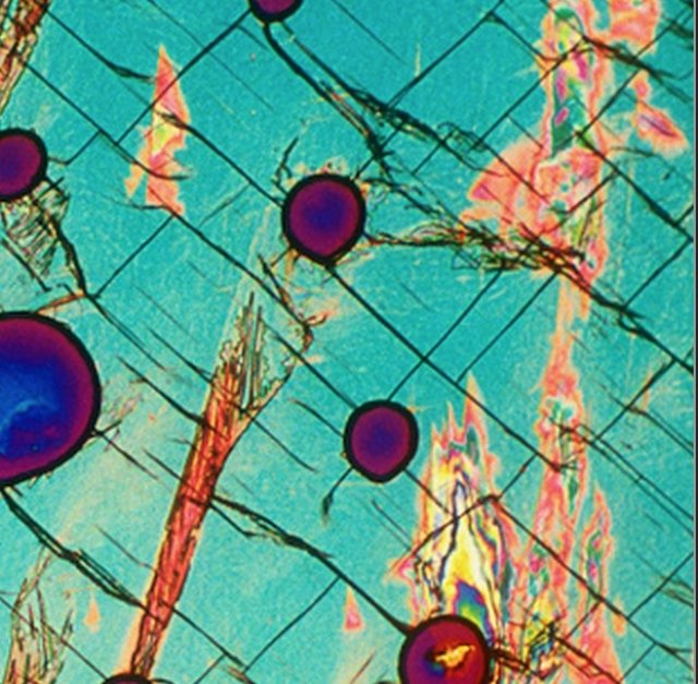 Senzatii multicolore: Bauturi alcoolice populare, vazute la microscop