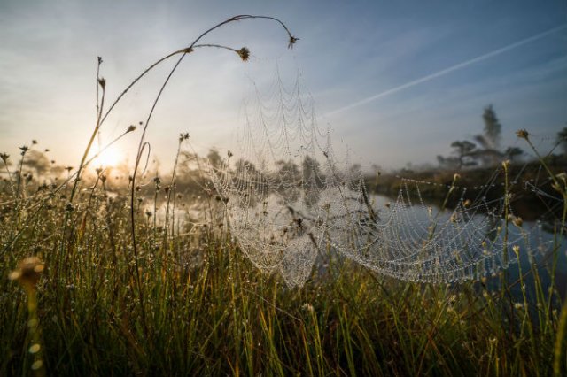 O toamna magica in cea mai frumoasa zona mlastinoasa - Poza 10