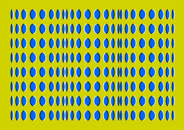 Opt iluzii optice geometrice halucinante