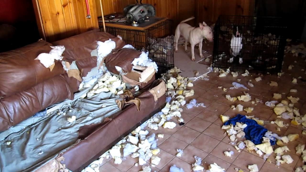 Haioase, dar nu prea. Necazuri venite cand ti-e lumea mai draga - Poza 19