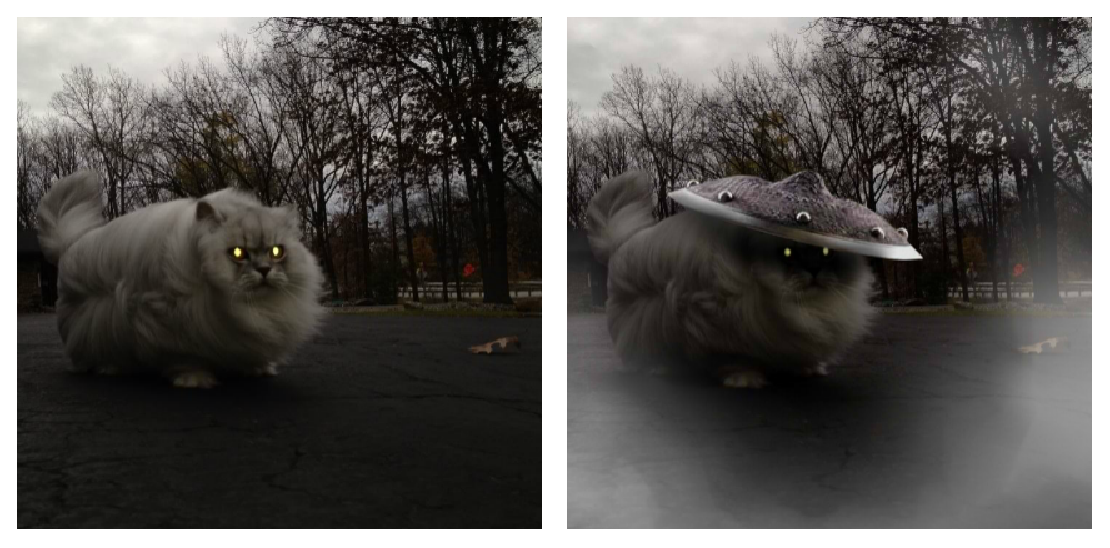 Cele mai haioase poze prelucrate in Photoshop - Poza 10